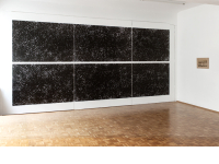 http://www.astridschindler.de/files/gimgs/th-6_web_Doku_2012_MuRo48_2_Icv2.jpg
